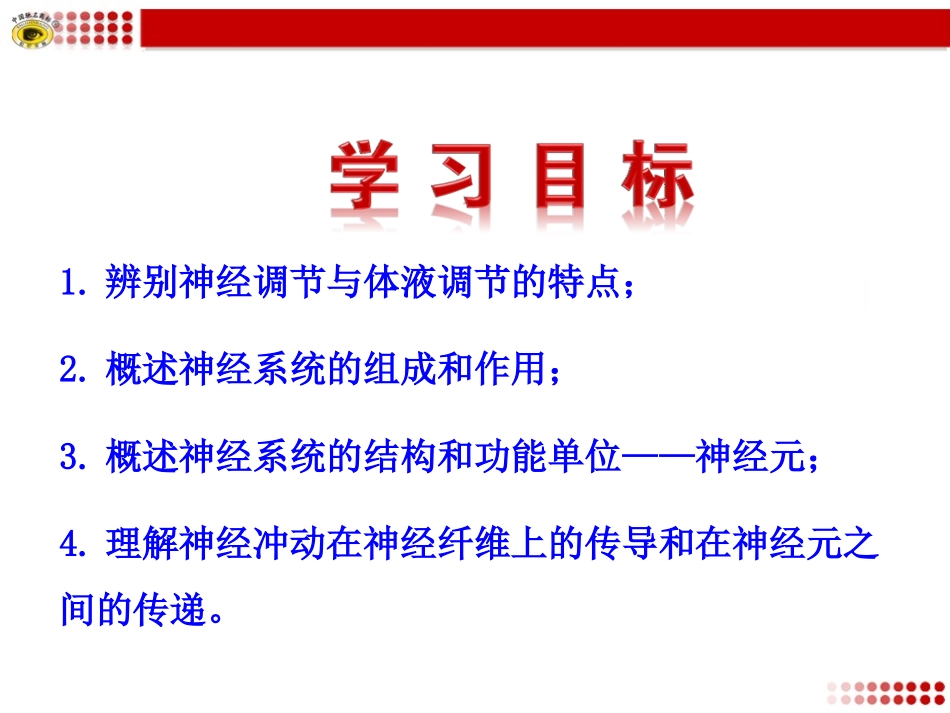 第二节神经系统的结构与功能（一）_第3页