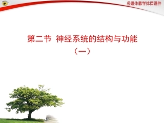 第二节神经系统的结构与功能（一）
