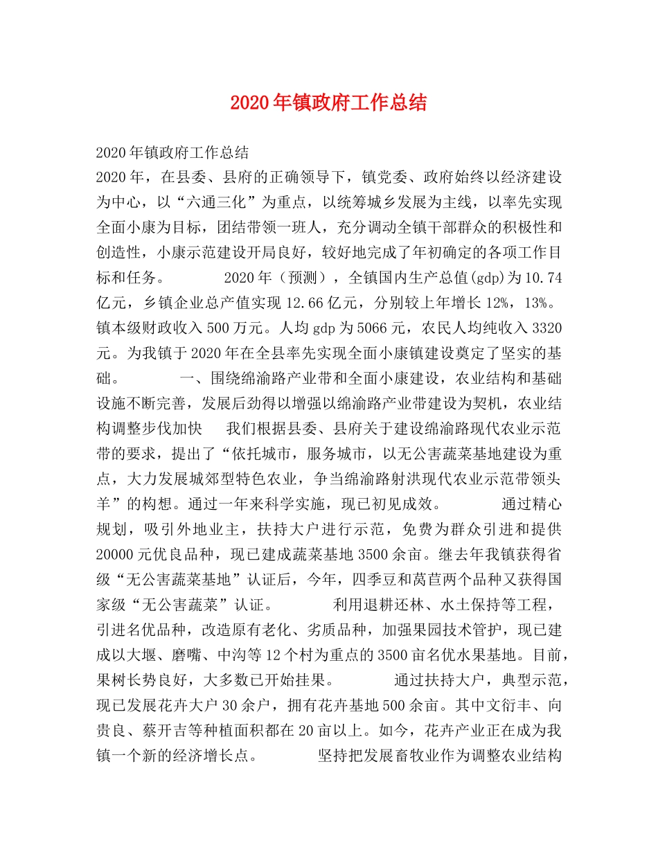 2020年镇政府工作总结 _第1页