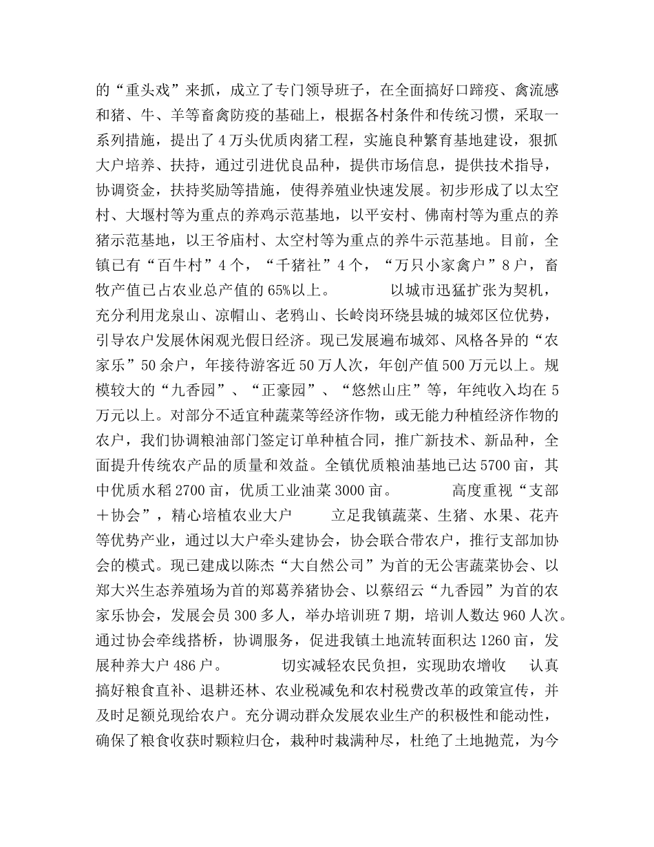 2020年镇政府工作总结 _第2页