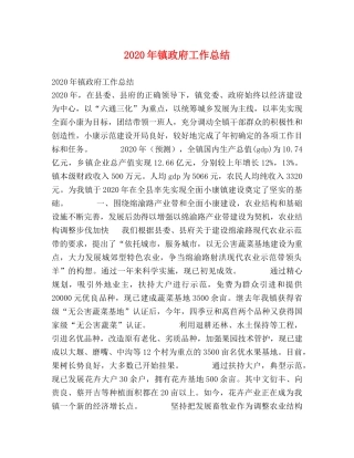 2020年镇政府工作总结 