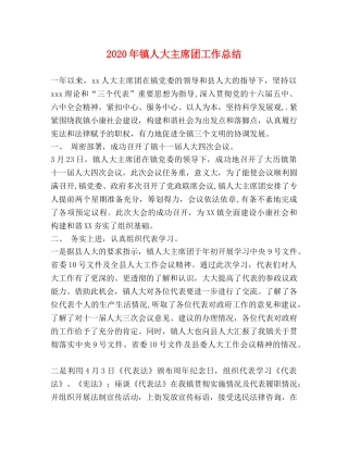 2020年镇人大主席团工作总结 