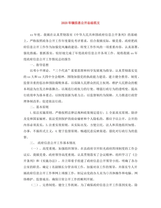 2020年镇信息公开总结范文 