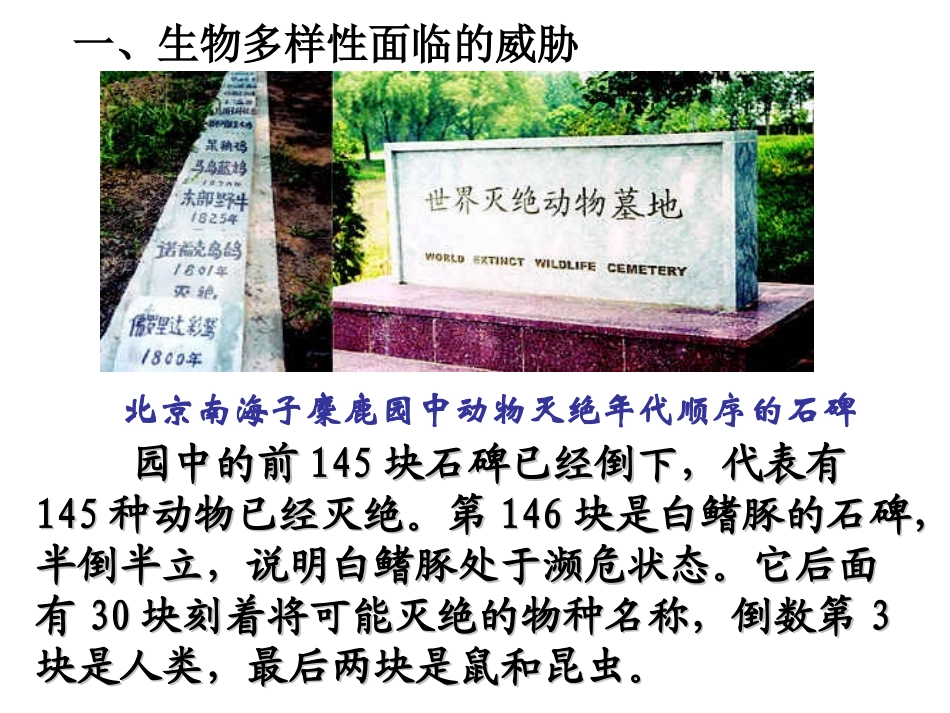 保护生物的多样性课件_第2页