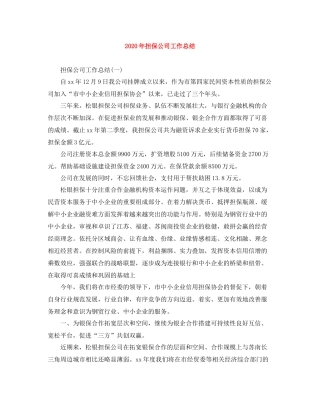 2020年担保公司工作总结