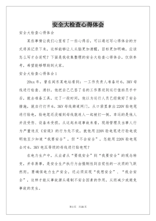 安全大检查体会心得