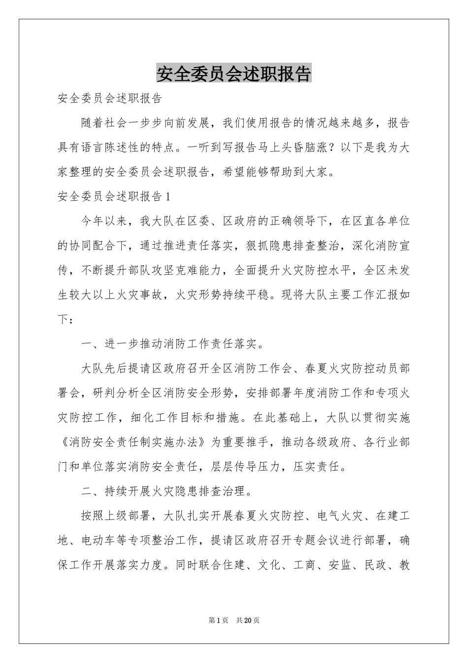 安全委员会述职报告_第1页