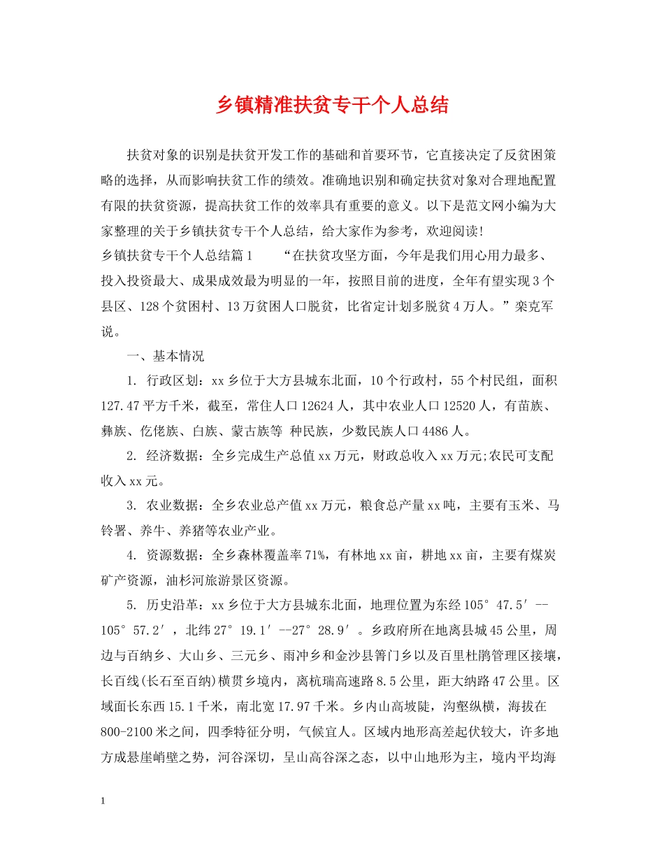 乡镇精准扶贫专干个人总结_第1页