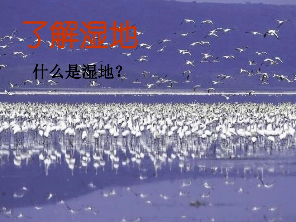 湿地资源的开发与保护——以洞庭湖区为例（陈）_第3页
