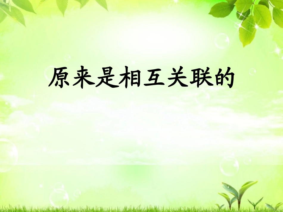 《原来是相互关联的》课件_第1页