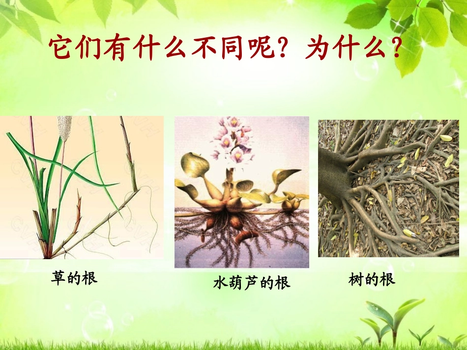 《原来是相互关联的》课件_第2页