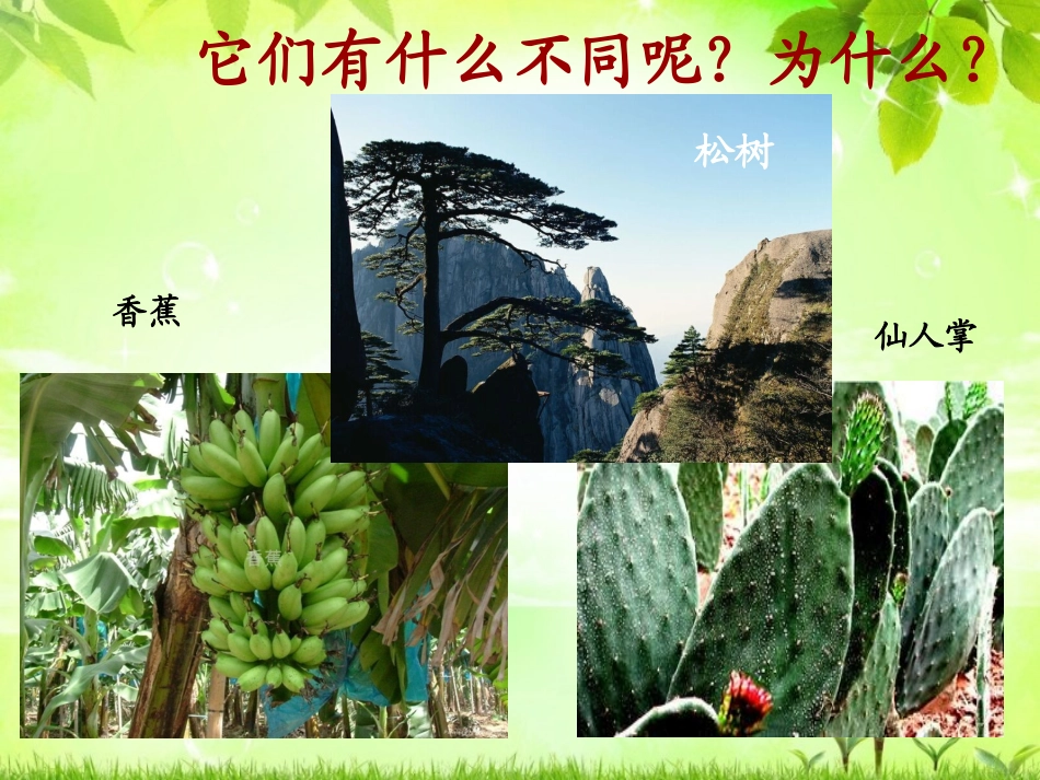 《原来是相互关联的》课件_第3页