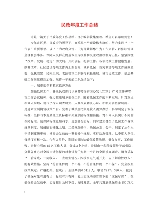 民政年度工作总结
