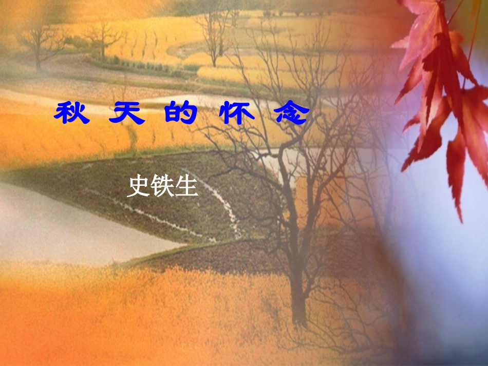 秋天的怀念1_第1页