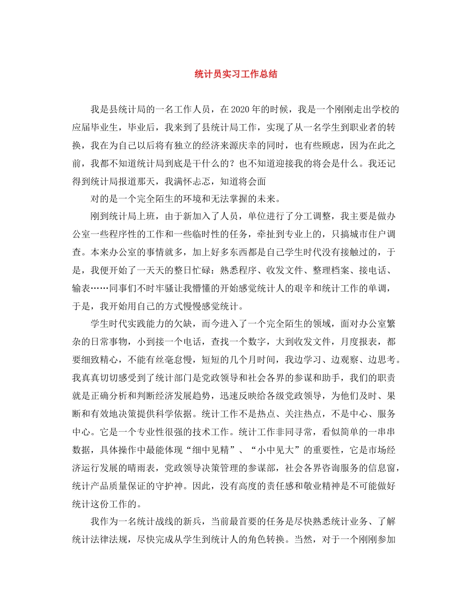 统计员实习工作总结_第1页