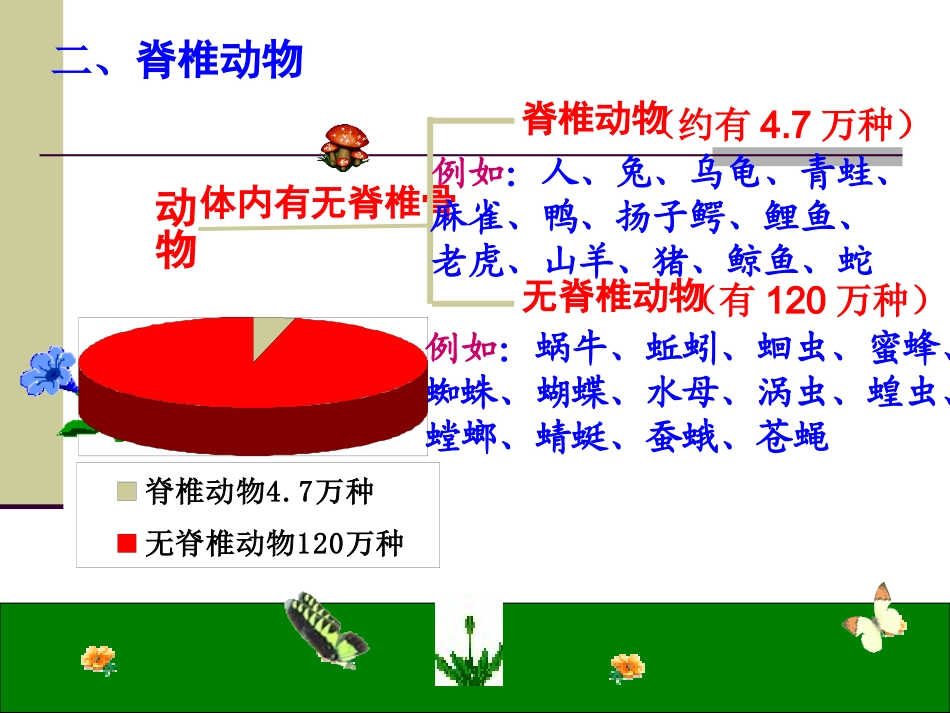 常见的动物3_第2页