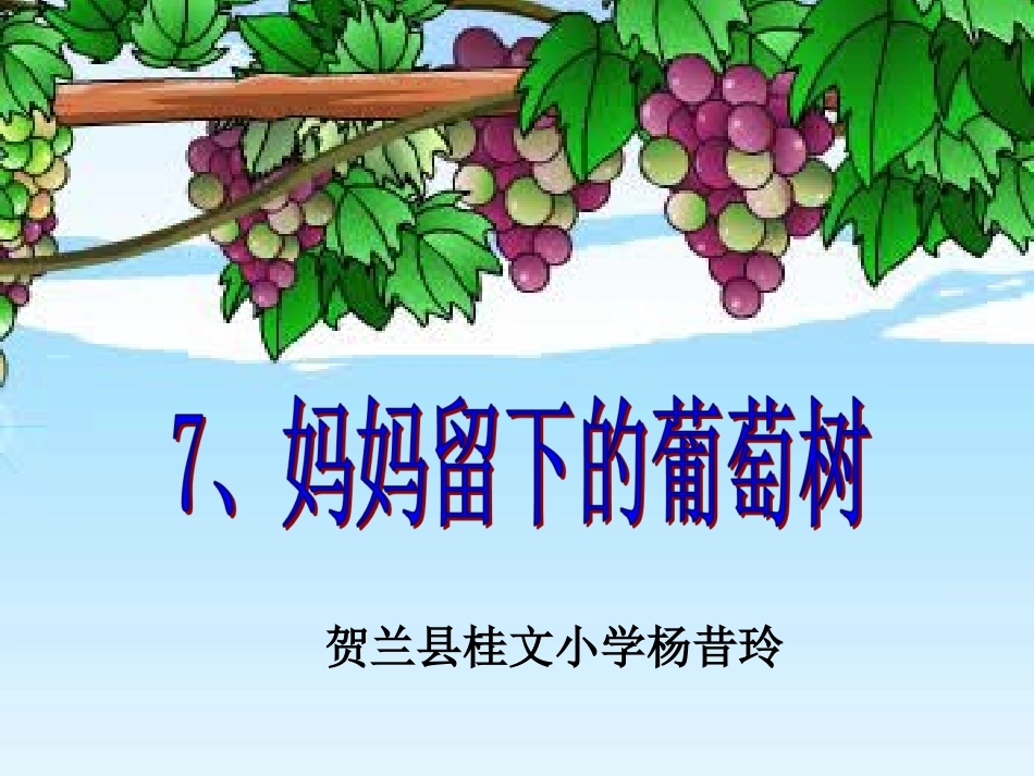 妈妈留下的葡萄树课件[1]_第1页