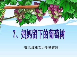 妈妈留下的葡萄树课件[1]