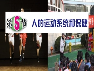 人的运动系统和保健