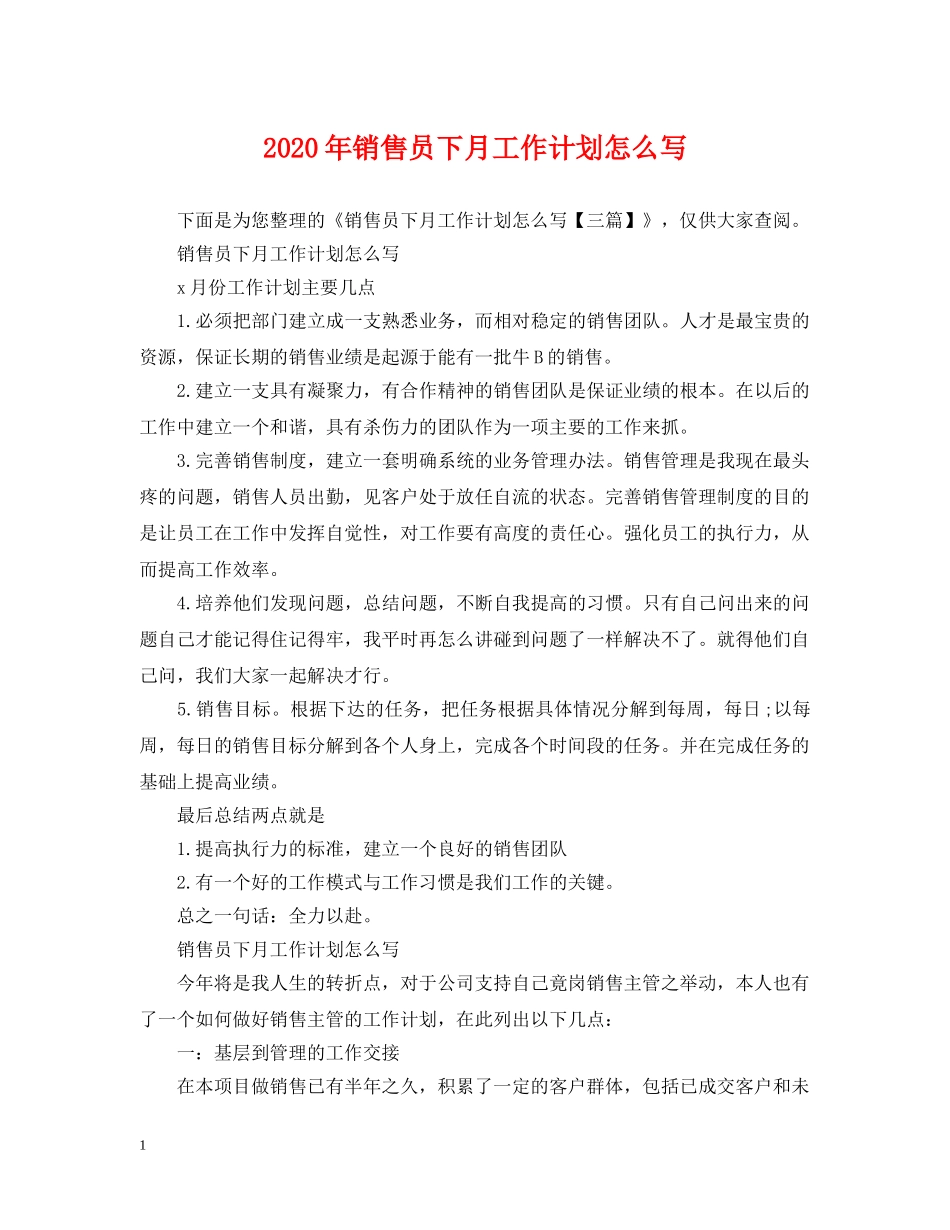 2020年销售员下月工作计划怎么写 _第1页