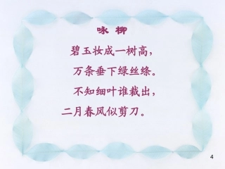 小柳树和小枣树上课课件