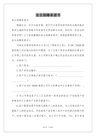 安全保障承诺书