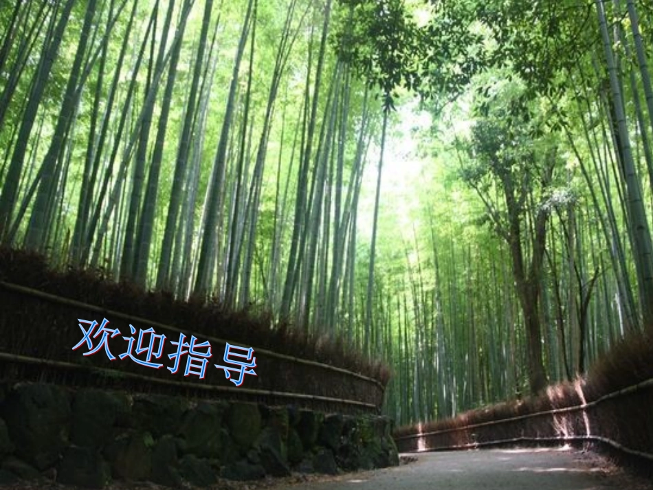 2011平均数1_第1页