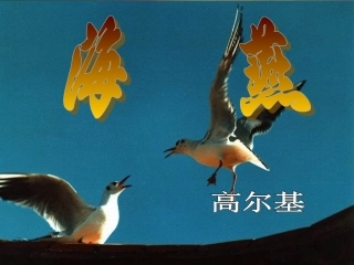海燕课件(1)