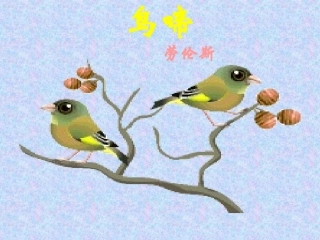 《鸟啼》课件