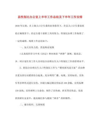 县性别比办公室上半年工作总结及下半年工作安排