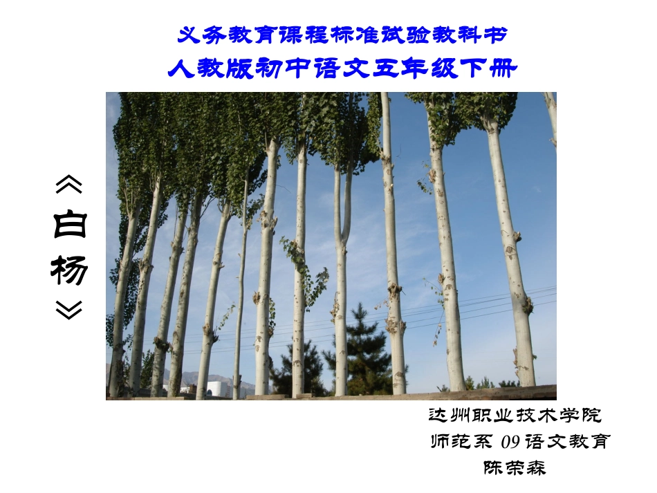 白杨_PPT_PPT课件_第1页