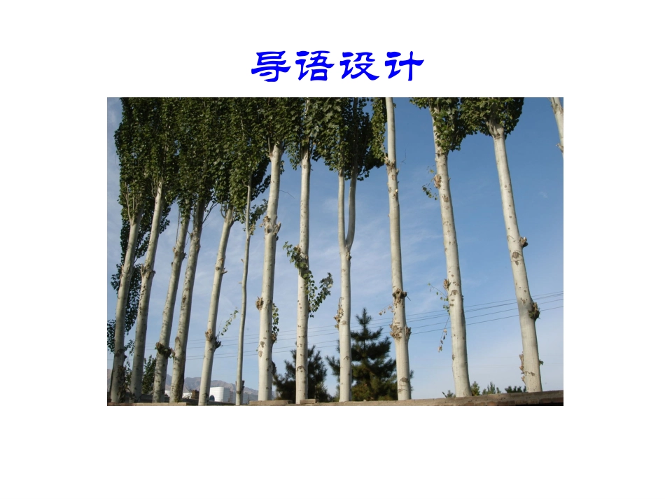 白杨_PPT_PPT课件_第3页
