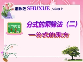分式的乘除法--分式乘方