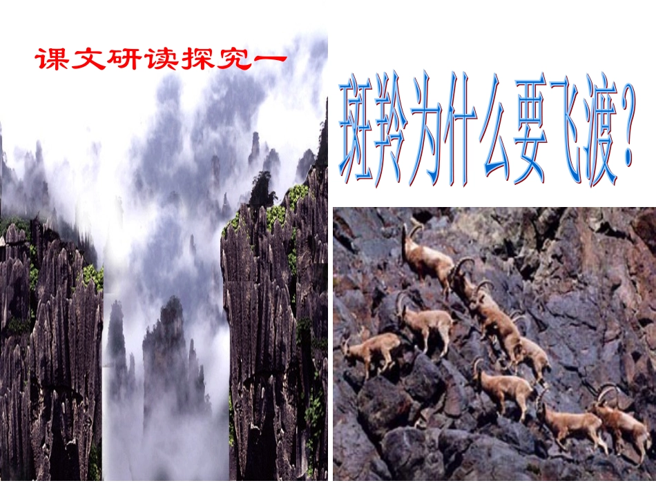 斑羚飞渡 (5)_第3页