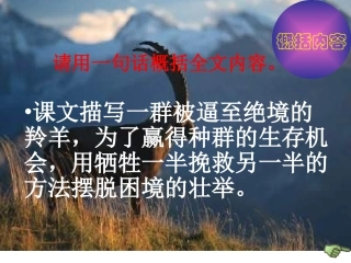 斑羚飞渡 (5)
