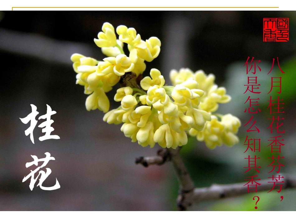 分子和原子PPT_第3页