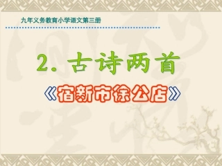 古诗《宿新市徐公店》PPT课件