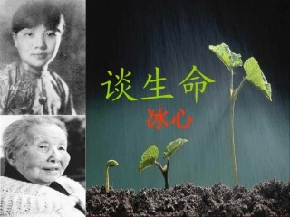 《谈生命》课件