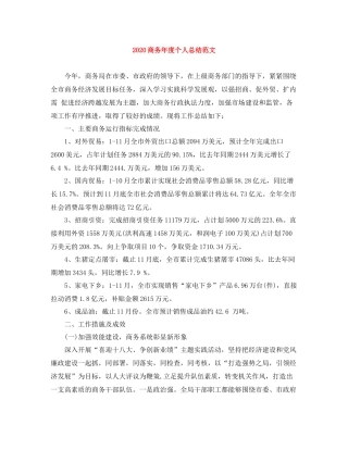 商务年度个人总结范文