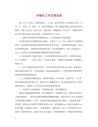 乡镇长工作自我总结