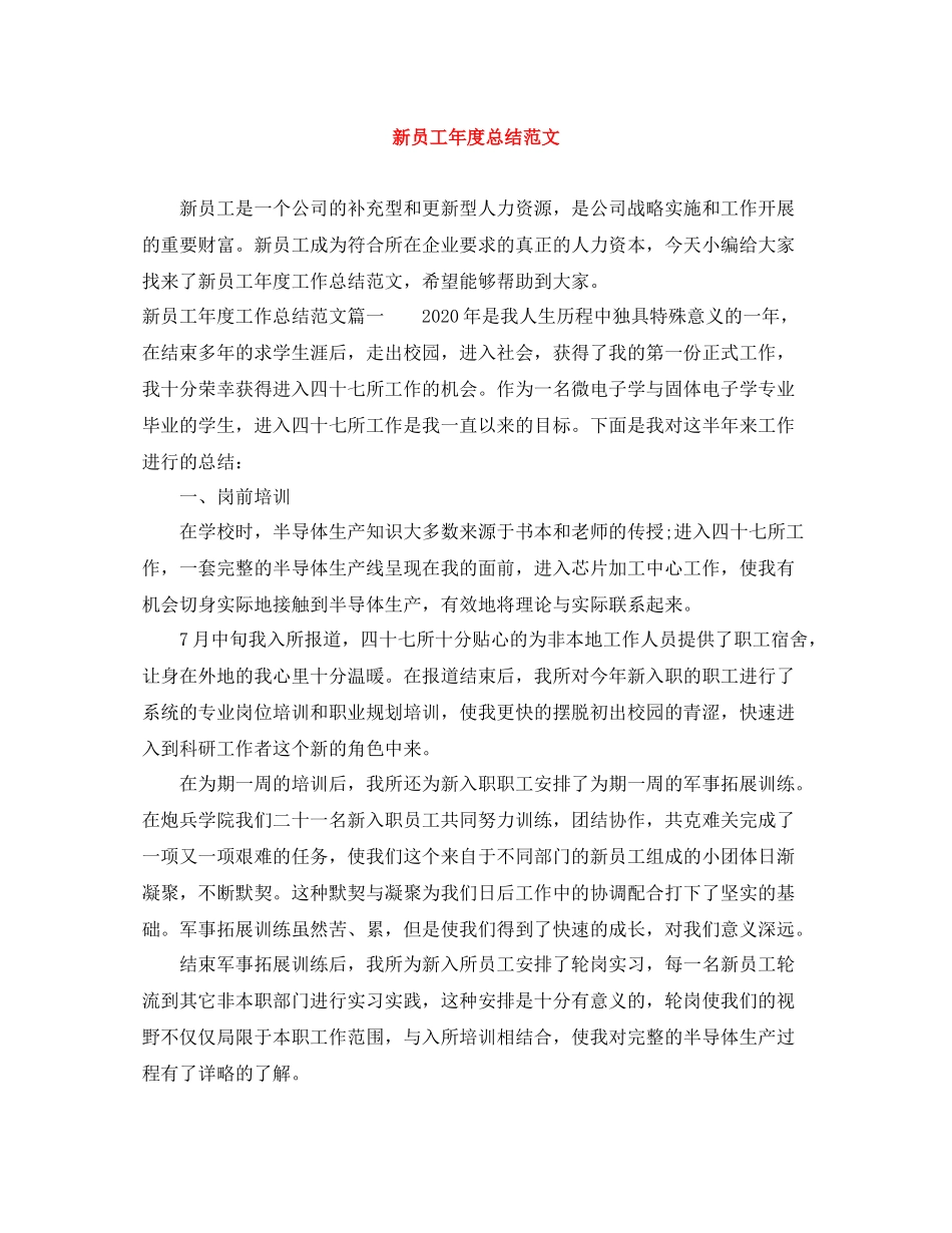 新员工年度总结范文_第1页