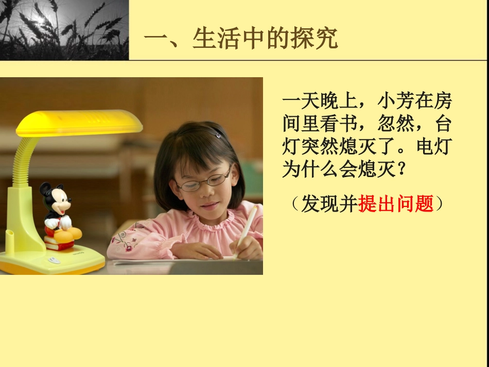 浙教版七上15科学探究_第2页