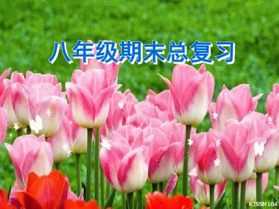 人教版新目标八年级上册英语总复习课件（62页）_第2页