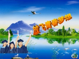 人教版新目标八年级上册英语总复习课件（62页）