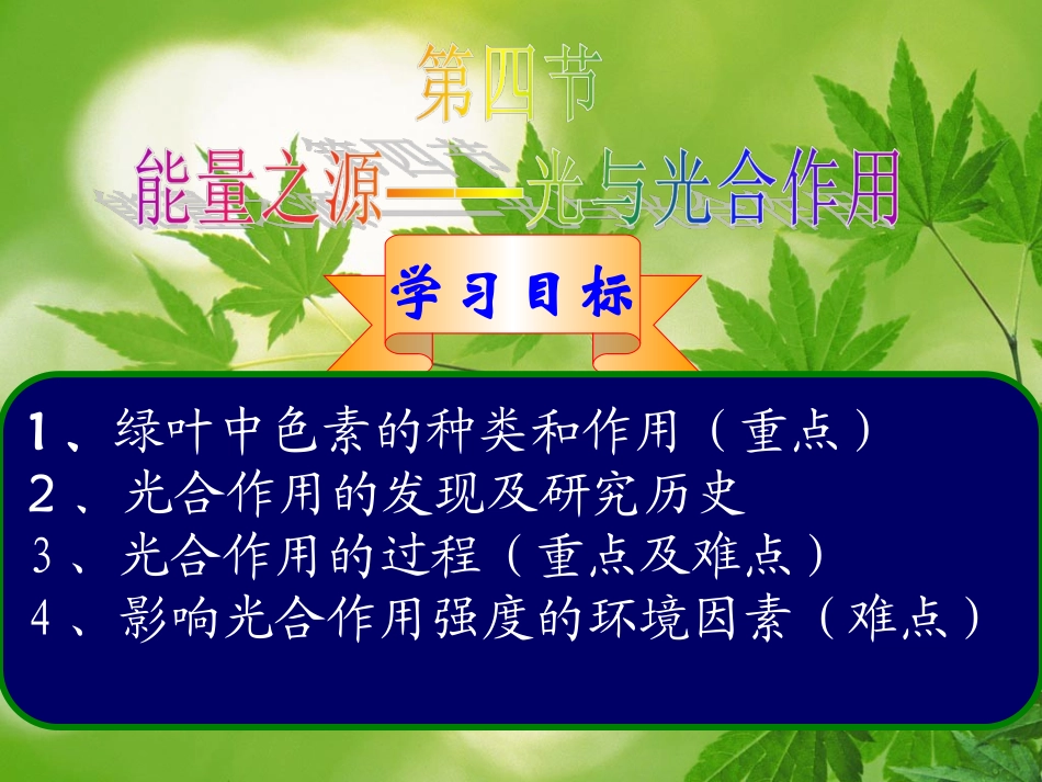 第四节能量之源——光与光合作用_第1页
