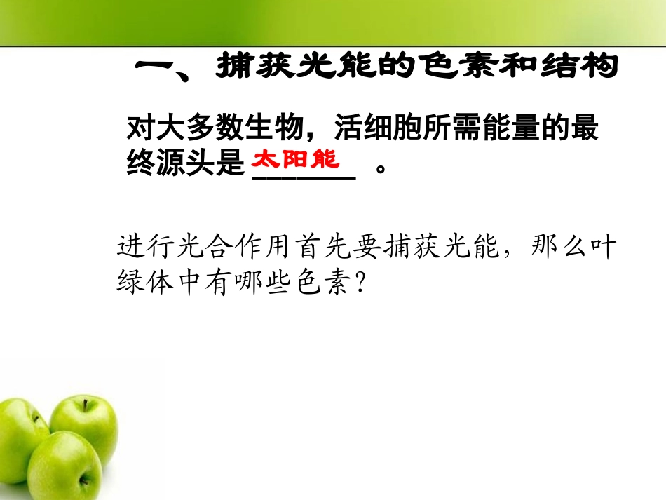第四节能量之源——光与光合作用_第2页
