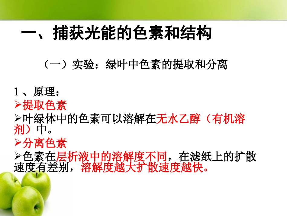 第四节能量之源——光与光合作用_第3页