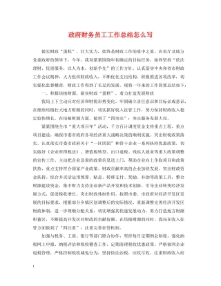 政府财务员工工作总结怎么写