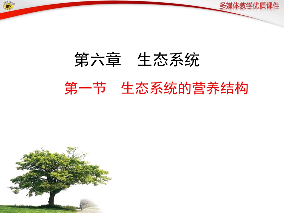 第一节生态系统的营养结构_第1页