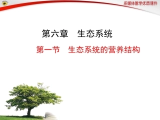 第一节生态系统的营养结构